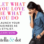 stella and dot launch your business