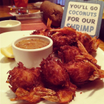 Outback coconut shrimp