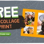 walgreens free collage print 1013