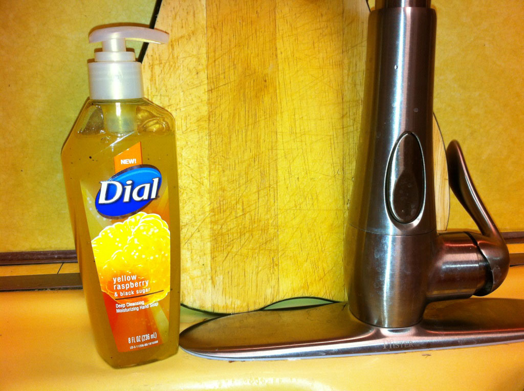 Product Review Dial Deep Cleansing Hand Soap