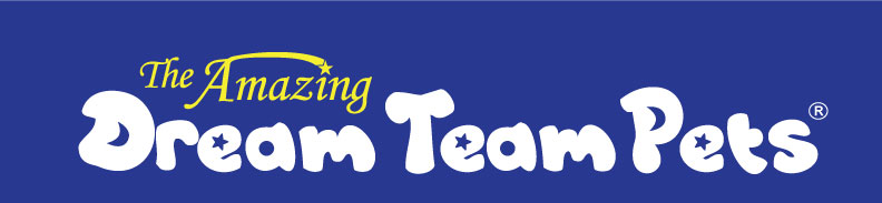 dream team pet