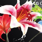LG OLED Screenfill Logo Callout_0