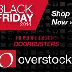 Overstock Banner