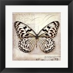 butterfly art