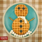 vans waffles